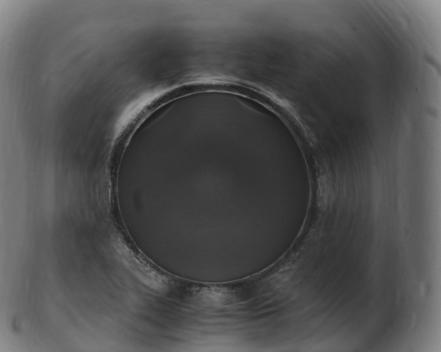 X0000103331319200809121201