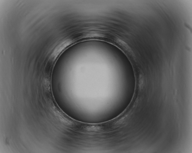 X0000103331321200809121201