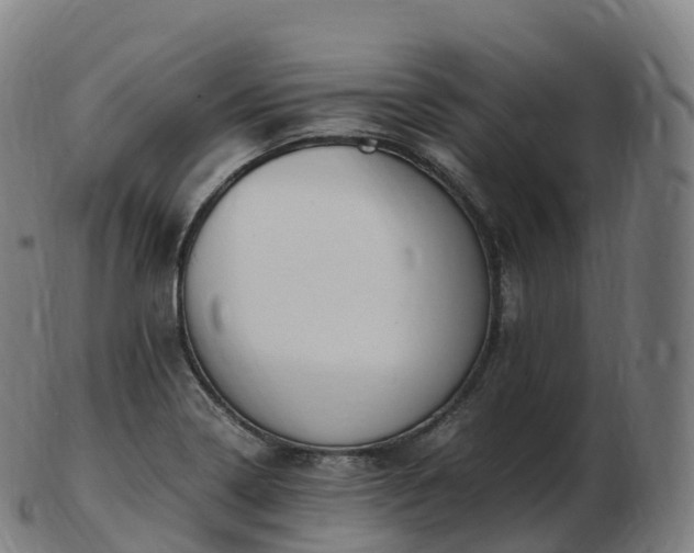 X0000103331322200809121201