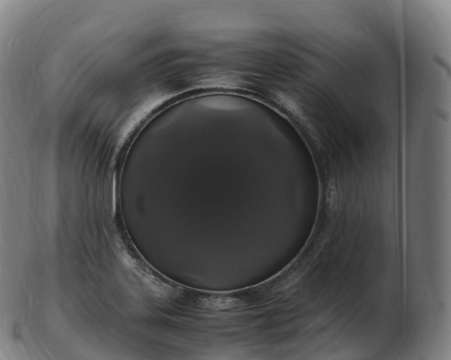 X0000103331323200809121201