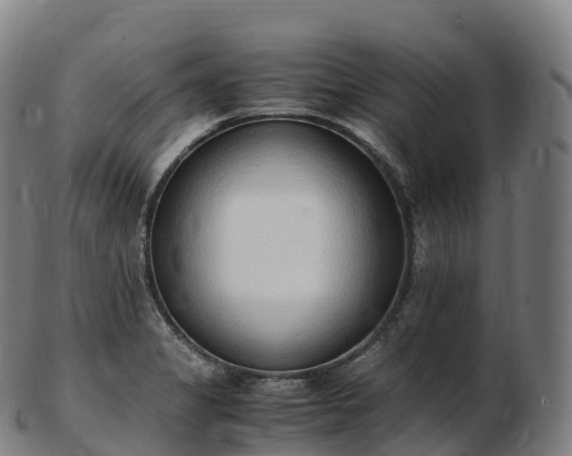 X0000103331325200809121202