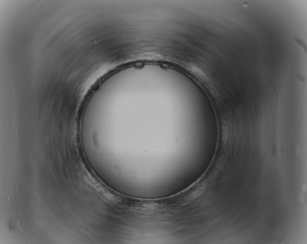 X0000103331326200809121202