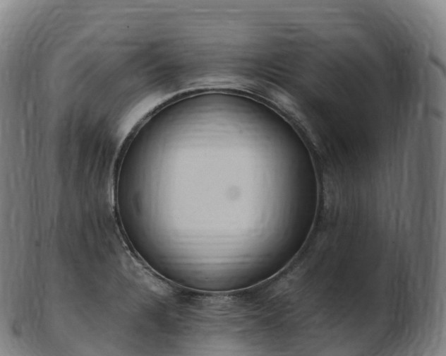 X0000103331328200809121202