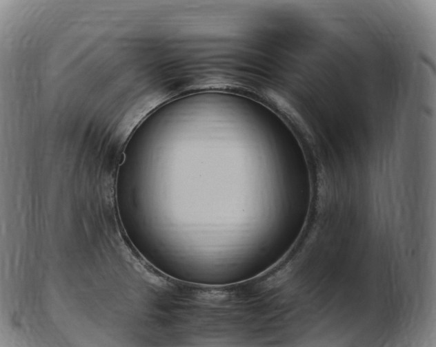 X0000103331329200809121202