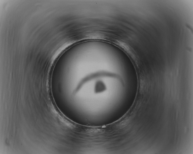 X0000103331331200809121202