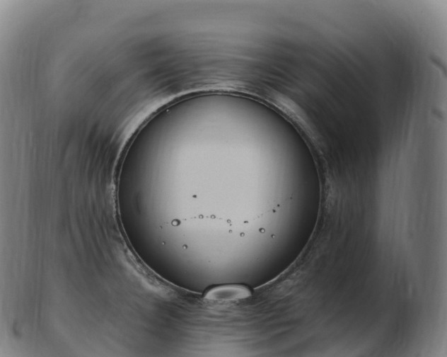 X0000103331332200809121202