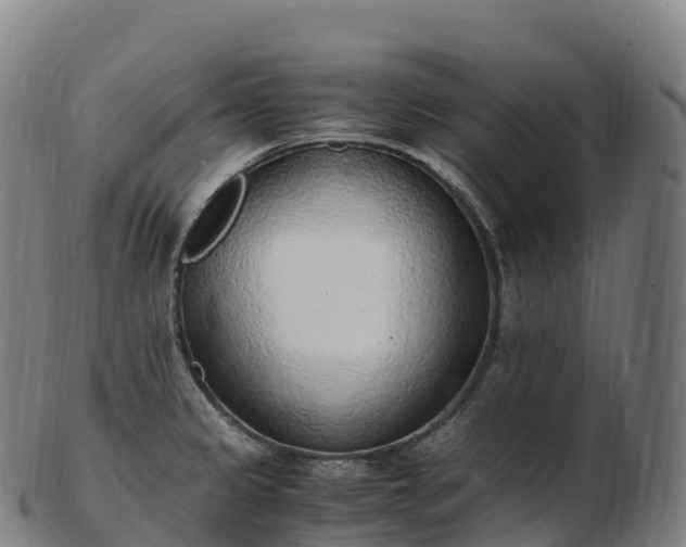 X0000103331333200809121202