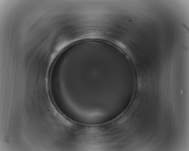 X0000103331334200809121202