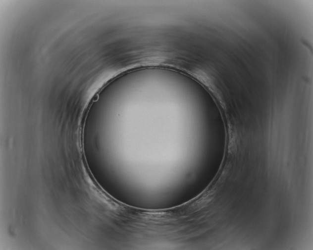 X0000103331342200809121202