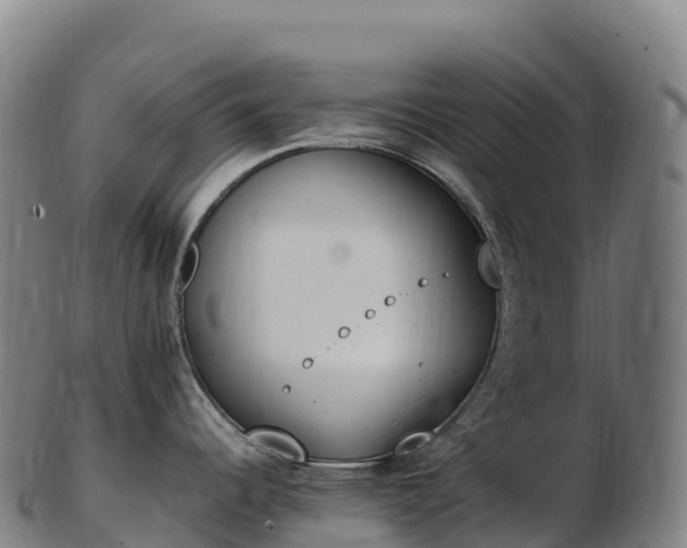 X0000103331344200809121202