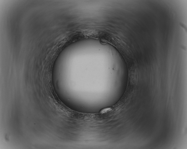 X0000103331345200809121201