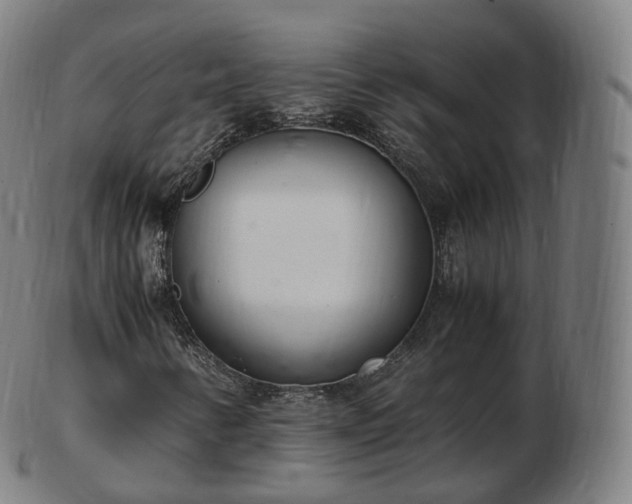 X0000103331346200809121201