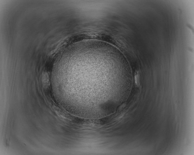 X0000103331347200809121201