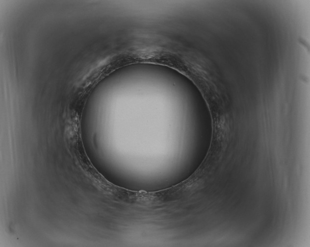 X0000103331349200809121201