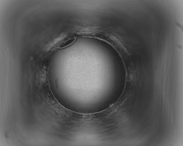 X0000103331350200809121201