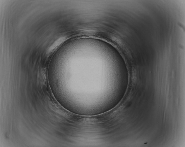 X0000103331354200809121201