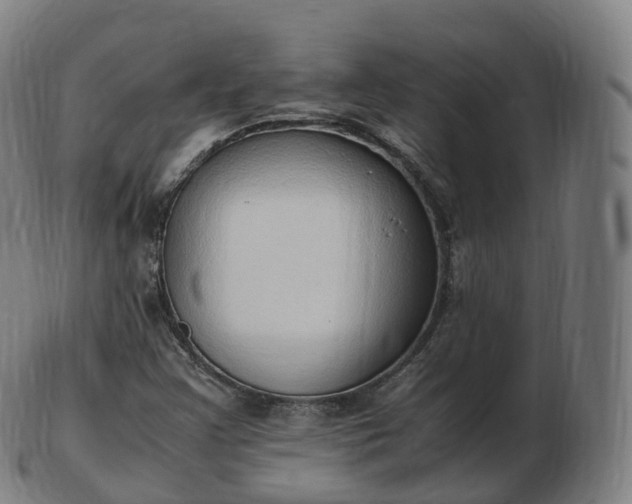 X0000103331355200809121201