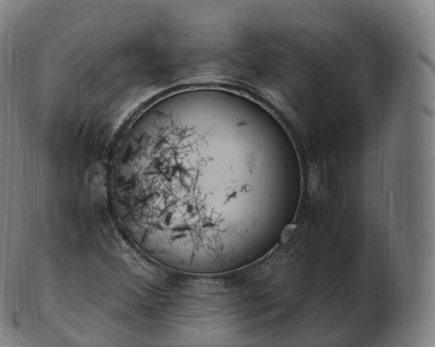 X0000103331356200809121201