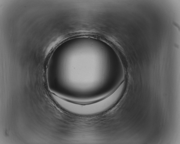 X0000103331357200809121201