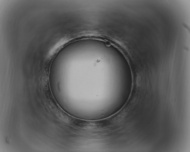 X0000103331359200809121201