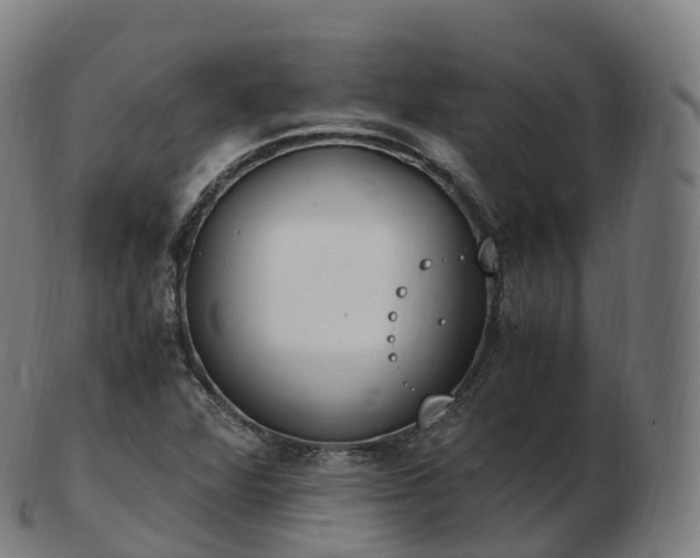 X0000103331360200809121201