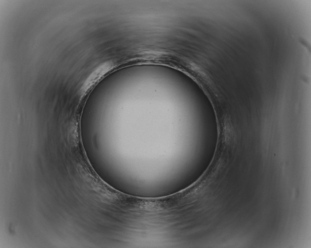 X0000103331362200809121201