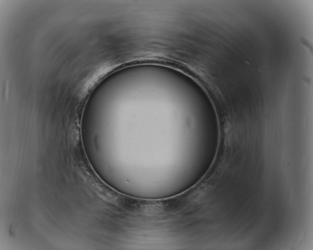 X0000103331363200809121201