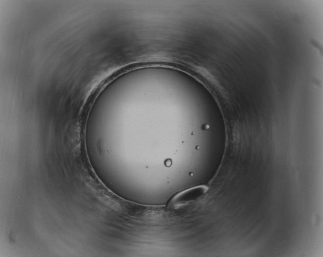 X0000103331364200809121201