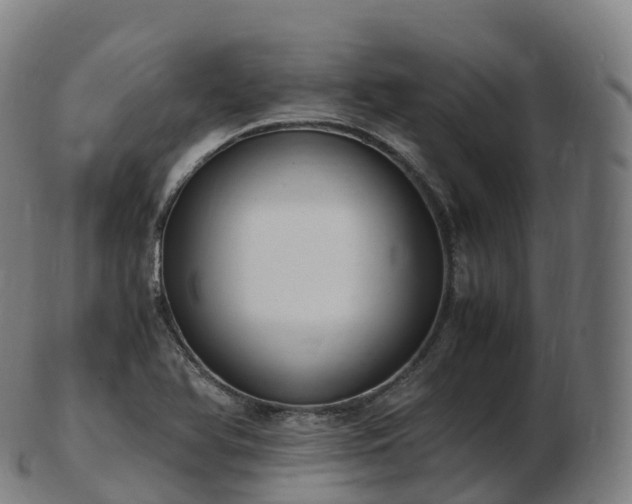 X0000103331366200809121201