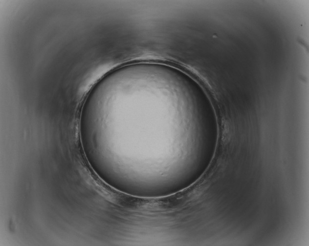 X0000103331367200809121201