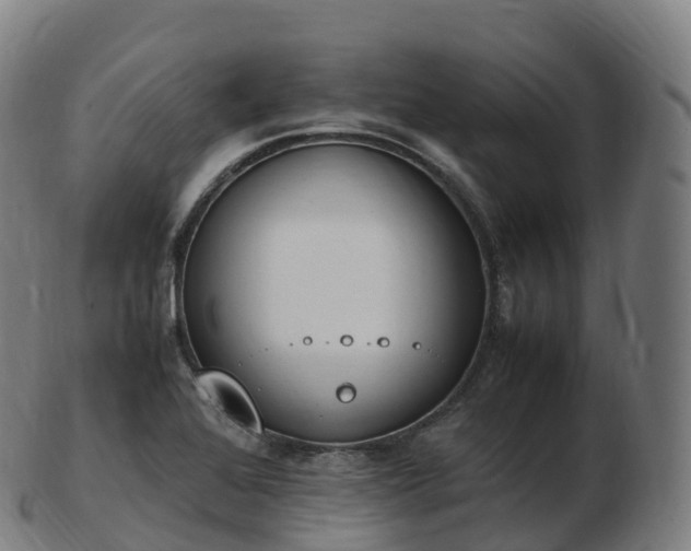 X0000103331368200809121201