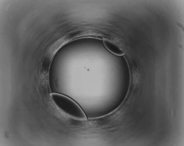 X0000103331369200809121201