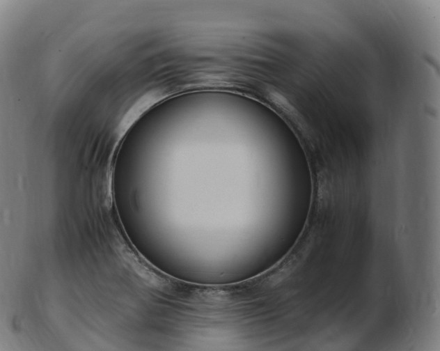 X0000103331370200809121201