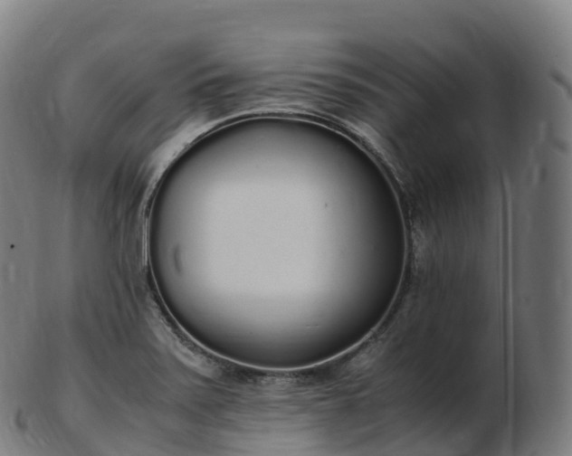 X0000103331371200809121201