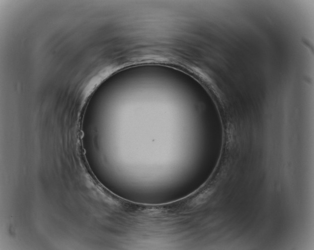 X0000103331373200809121201