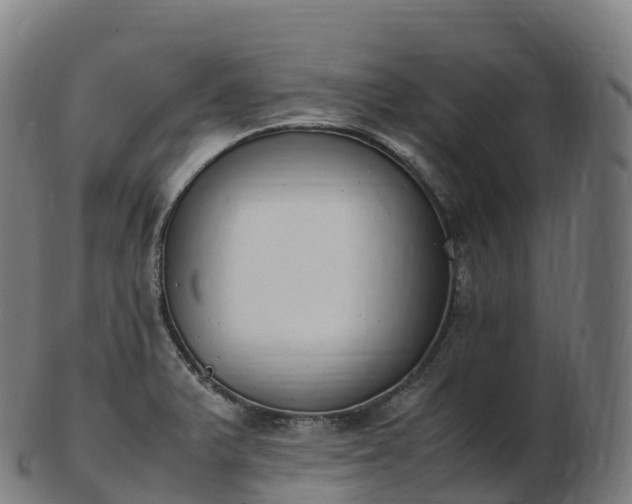 X0000103331375200809121201