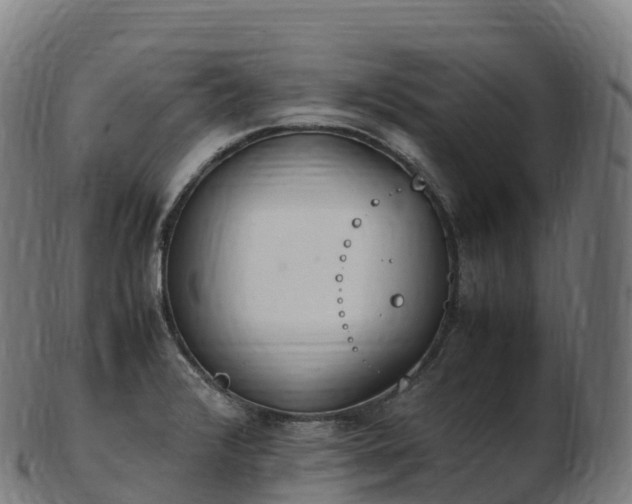 X0000103331376200809121201