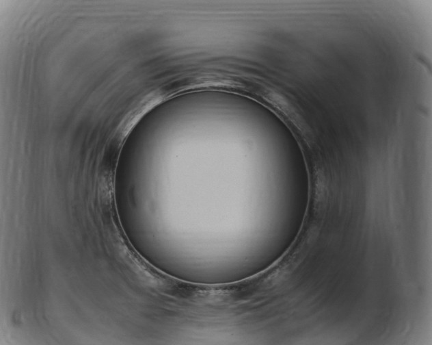 X0000103331377200809121201