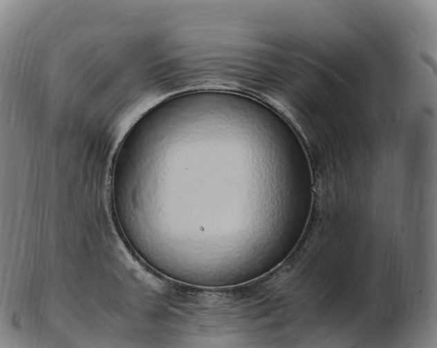 X0000103331379200809121201