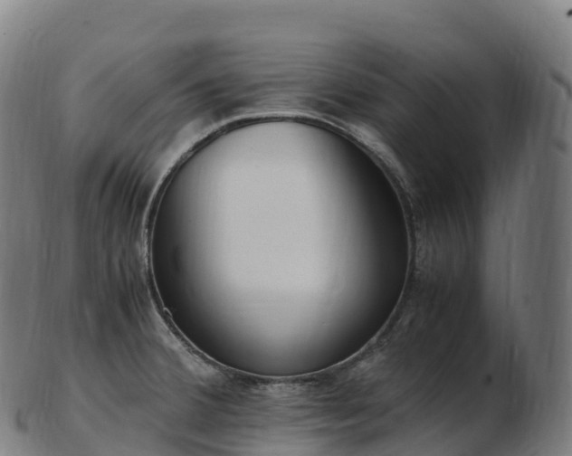 X0000103331380200809121201