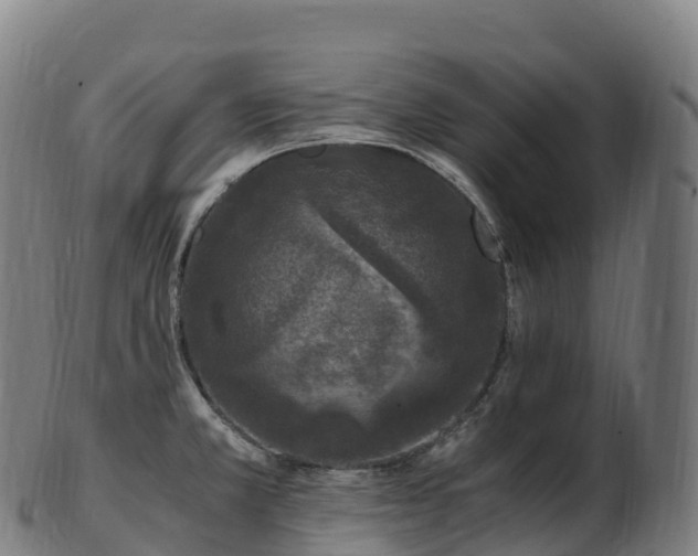 X0000103331381200809121201