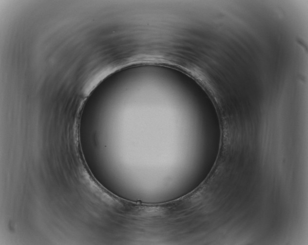 X0000103331382200809121201