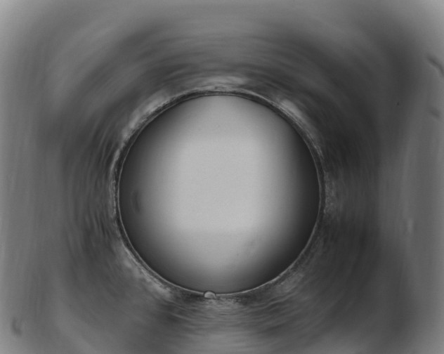 X0000103331384200809121201