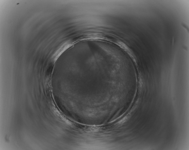 X0000103331385200809121201