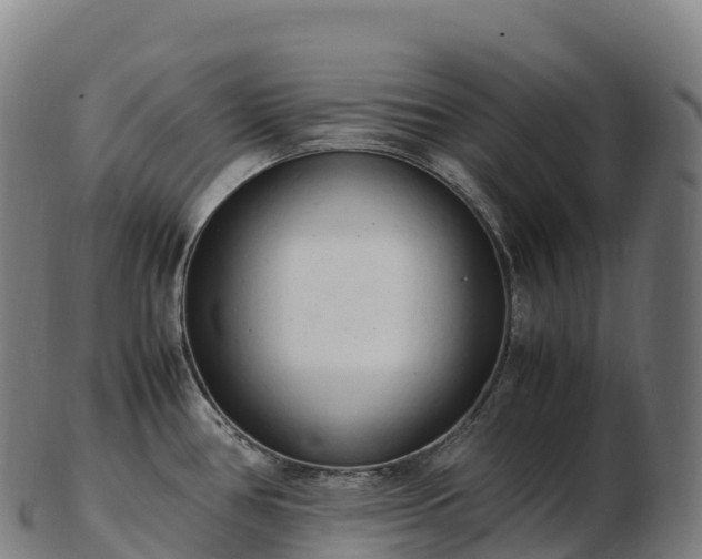 X0000103331386200809121201