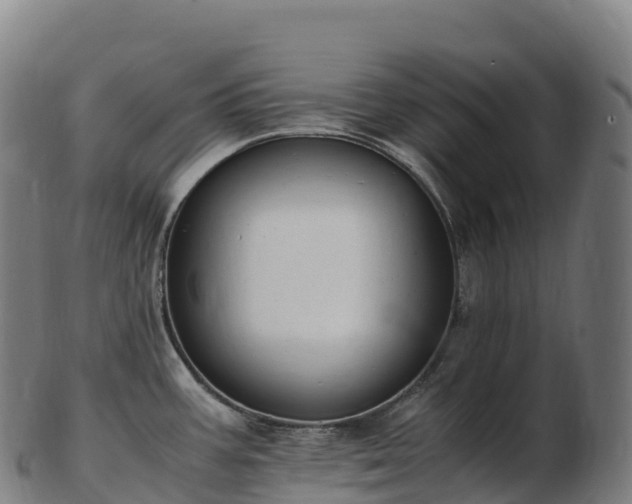 X0000103331387200809121200