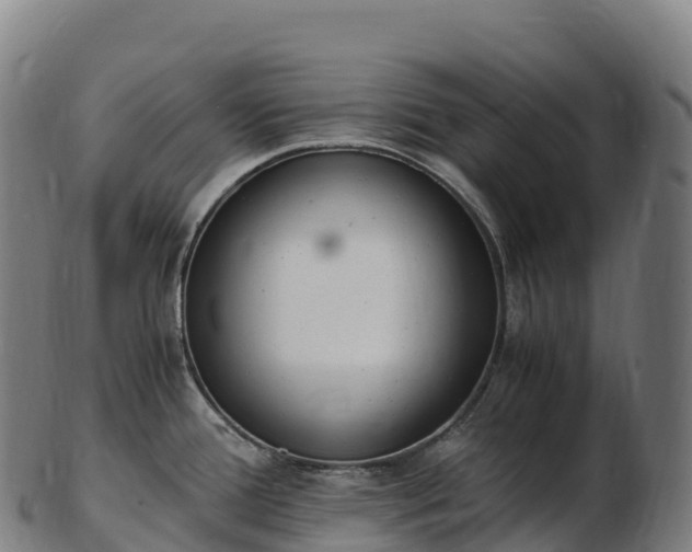 X0000103331388200809121200