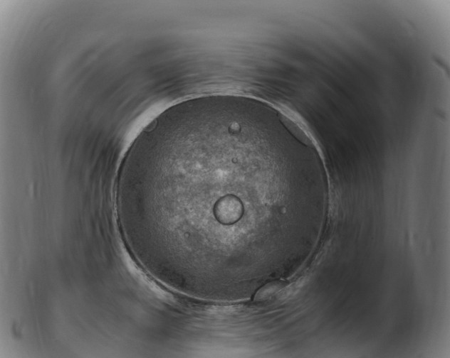 X0000103331389200809121200