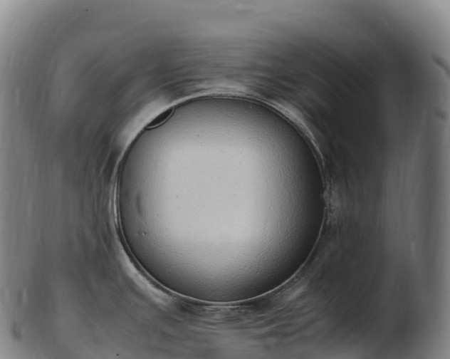 X0000103331391200809121200