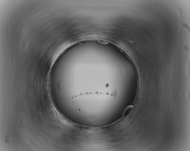 X0000103331392200809121200